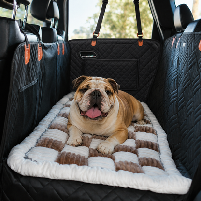🐶Paw Protect - Custom Fit Dog Bed
