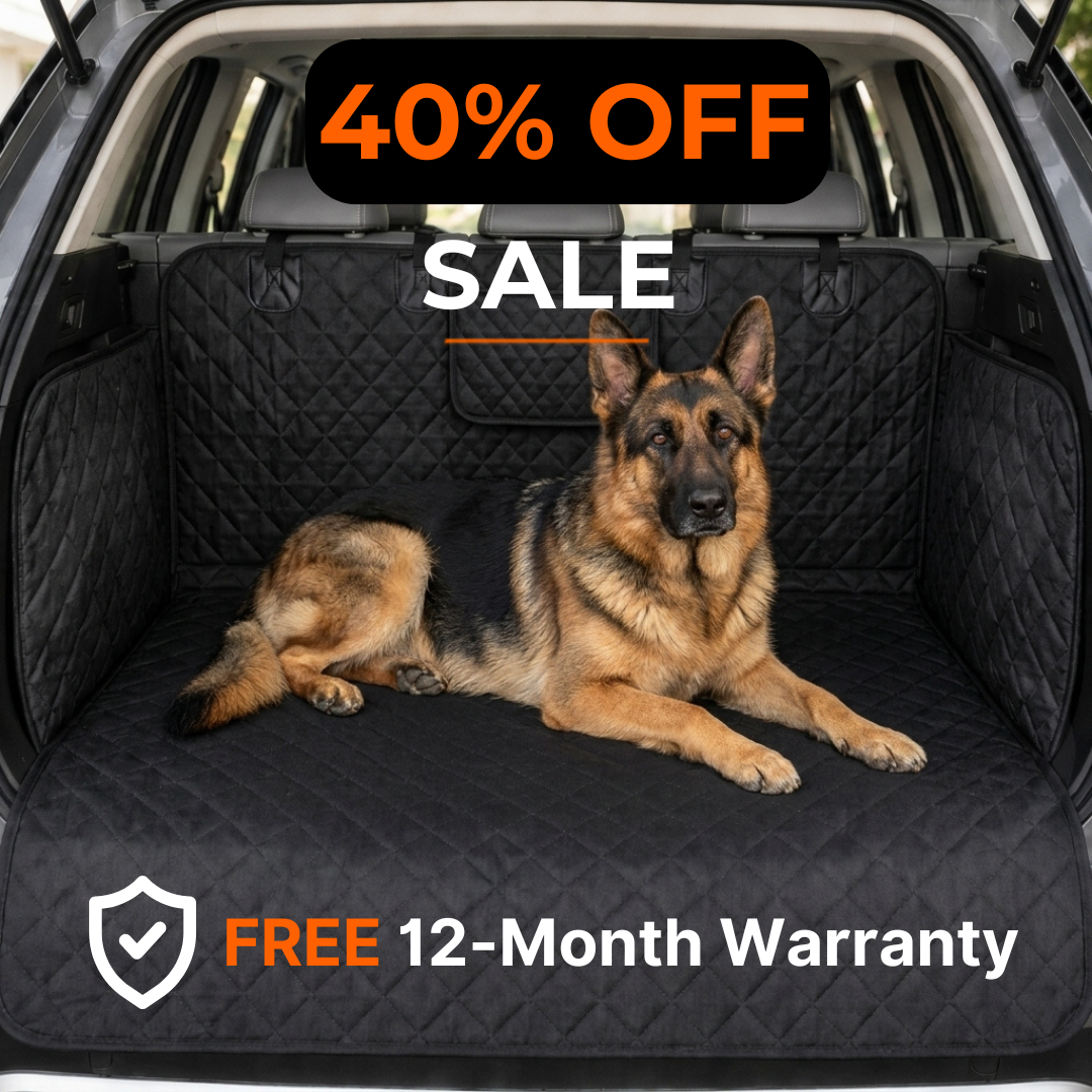 🐶Paw Protect - Dog Boot Cover