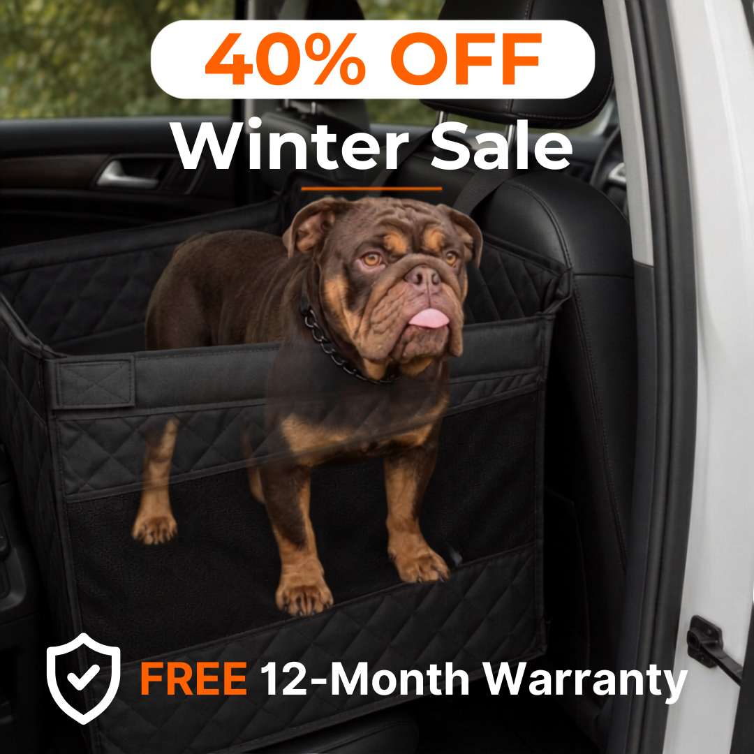 🐶Paw Protect - Hard Bottom Single Seat Cover